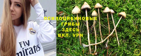 не бодяженный Армянск